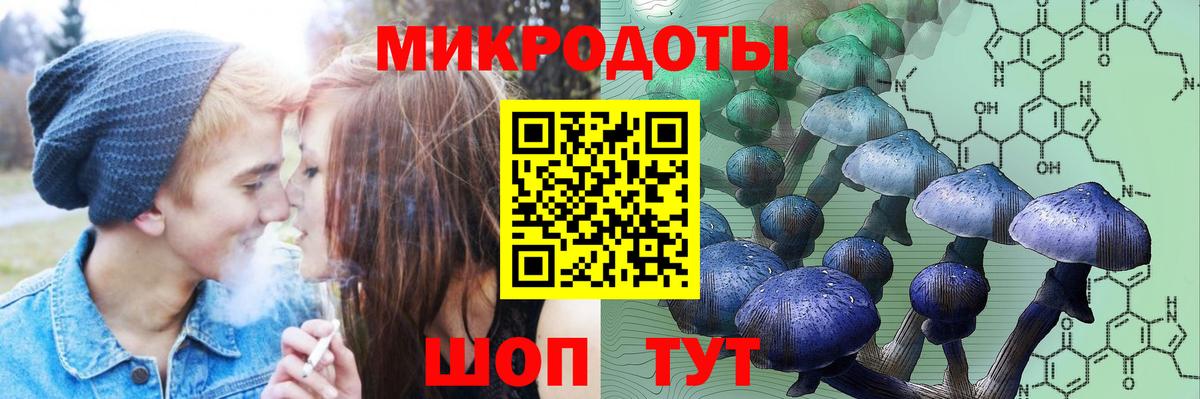 Галлюциногенные грибы Psilocybine cubensis  Псилоцибиновые грибы мицелий  Карталы  Вход с VPN 